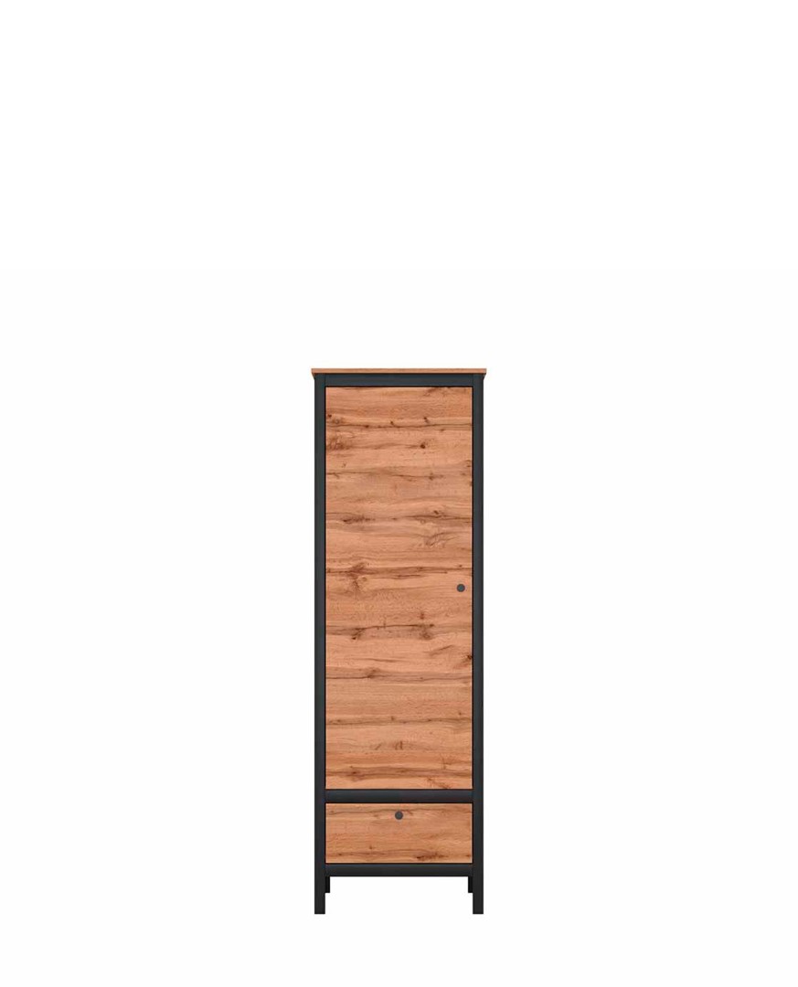 Шкаф REG1D1S LOFT купить