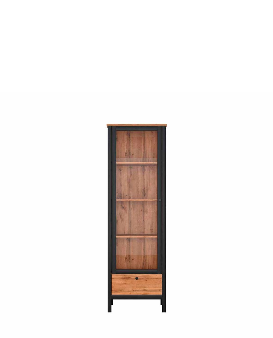 Шкаф REG1W1S LOFT купить