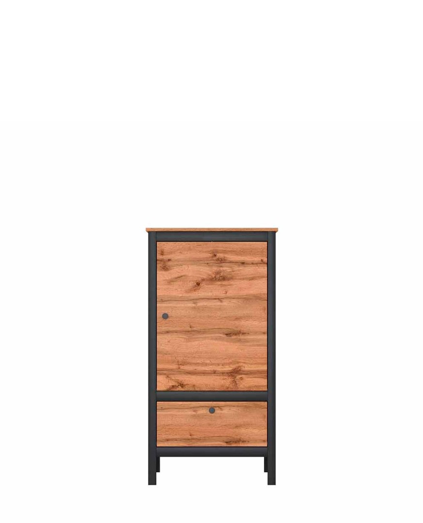 Шкаф REG1D1S/60 LOFT купить